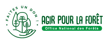 Logo du fonds Agir pour la forêt
